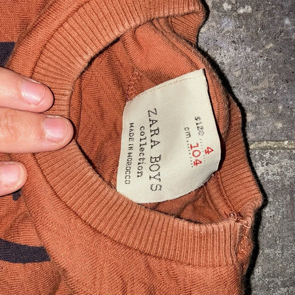 Zara‎ Boys Crewneck Pullover Sweatshirt Sz 4 Kids 4T Paris Burnt Orange Sweater